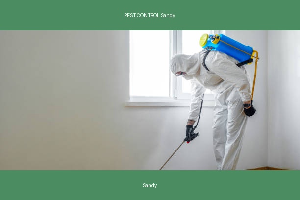 PEST CONTROL Sandy